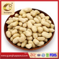 EU Quality Blanched Peanut Kernels 2021 New Crop